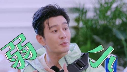 吃瓜闲人夏小叨,吃瓜闲人，揭秘娱乐圈幕后故事